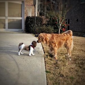 Meet your Posher, Kamilah